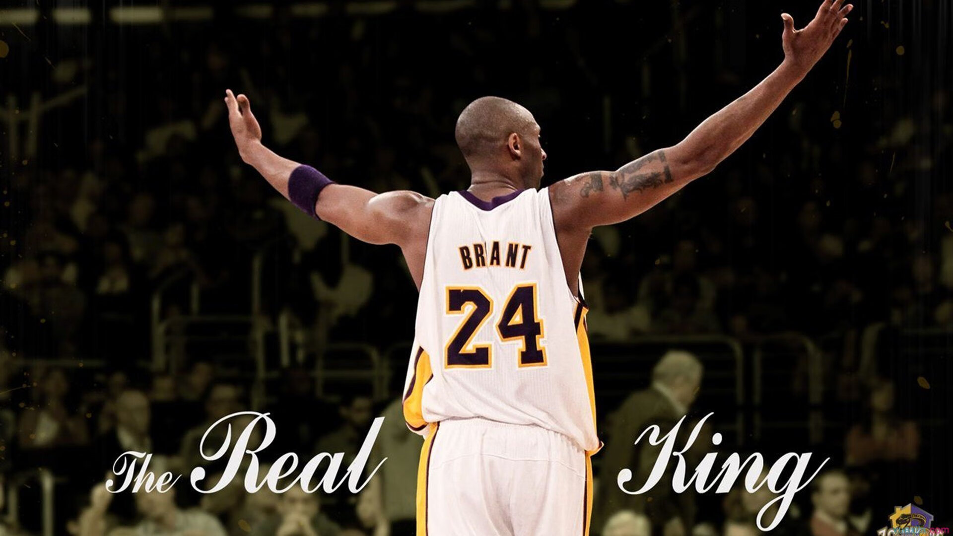 遥控台球比赛的未来趋势,摇控台球